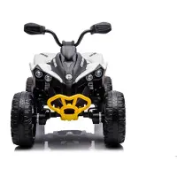 Lean cars Elektrisches Ride-On CAN-AM Renegade | Gr.: onesize