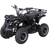 Actionbikes Motors Elektro Kinderquad Torino | 1000 Watt - 36 V - Pocket Quad bis 24 km/h - 3 Stufen - Kinder Elektroquad (Schwarz)