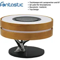 D-Parts Multifunktions-Lampe ''Icona''