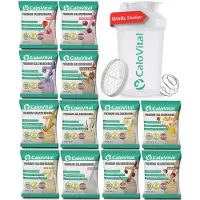 KAP3 CaloVital Hochkalorische Trinknahrung für gezielte Gewichtszunahme [PROBIERPAKET INKL. GRATIS SHAKER] 12er Pack Classic je 50 g Pulver
