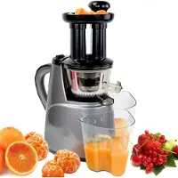 Syntrox Germany Syntrox Langsam Entsafter mit 2 Einschüben und 2 Aufsätzen 45 U/min