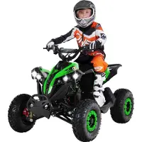 Actionbikes Motors Elektro-Kinderquad Reneblade | 1000 Watt - Kinder Pocket Quad bis 24 km/h - Elektroquad - Elektro Auto - LED - 12V Batterie - Bis 65 Kg (Schwarz/Grün)