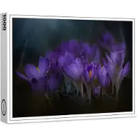 Raxxa Premium-Puzzle "Erblühen", 1000 Teile
