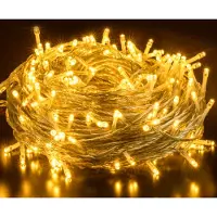 Izrielar LED Lichterkette 30M 300LEDs mit 8 Modi für Innen Weihnachten Party Garten Bedienung Funkelnder Sterneffekt Deko Warmweiß
