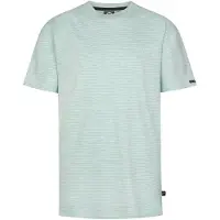 Petrol Industries Gestreiftes T-Shirt Tequila in Grün | Gr.: 104