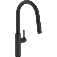 Franke 115.0575.968 Wasserhahn Schwarz