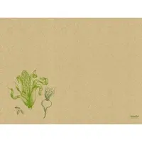 Duni Dækkeserviet 30x40 cm Veggies,4 pk x 250 stk/krt