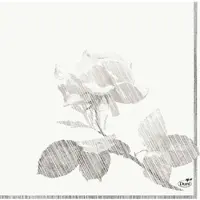 Duni GmbH 500 Duni Tissue-Servietten 33 x 33 cm Grey Rose 3-lagig