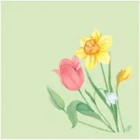 Duni Bio-Dunisoft-Serv. 40x40cm Spring Melody
