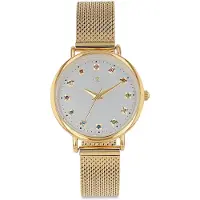 Tom Tailor Damen Armbanduhr aus Edelstahl gold mit 31,9mm, gold, Gr. ONESIZE