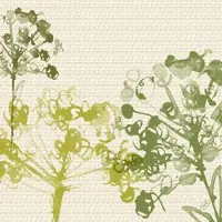 Duni GmbH Zellt.-Serv. 40x40 Klassik Green Umbles - Hochwertige Servietten | Packung (50 Servietten)