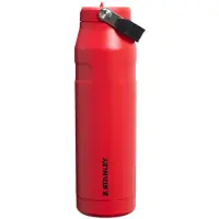 Stanley IceFlow Flip Straw Flasche