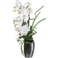Creativ Company CREATIV green künstliche Pflanze Phalaenopsis 68 cm