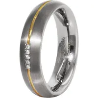 Boccia 0130-04 Titanium Damenring