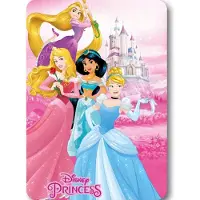 Disney Princess Polardecke