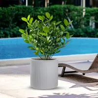 Divina Garden Harzvase für Pflanzen im Innen- und Außenbereich, rundes zylindrisches Design, D.36x35h, Modigliani Beige