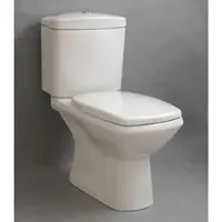 DM Duschmeister WC-Monoblock mit WC-Sitz AW Sano.. - Badkeramik