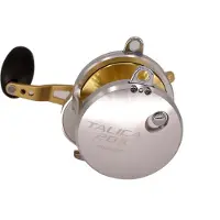 Shimano Talica, 20II CAM, 2-Speed, Rechtshand, Multi Angelrolle, Schiebebremse, TAC20IICAM