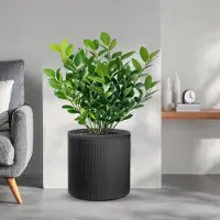 Divina Garden Harzvase für Pflanzen im Innen- und Außenbereich, rundes zylindrisches Design, D.36x35h, Modigliani Grey