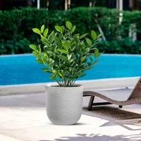 Divina Garden - Harzvase für den Innen- und Außenbereich für Designer-Zylinderpflanzen, D.35x34h Raffaello Bianco