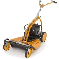AS-Motor AS Motor AS 62 4T Briggs & Stratton