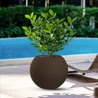 Divina Garden - Harzvase für Pflanzen im Innen- und Außenbereich, rundes Kugeldesign, D.40x33h, Botticelli Brown