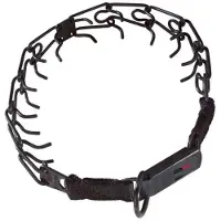 Sprenger Edelstahl Kette Mit Schlossstrafe