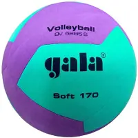 Gala Volleyballball Soft 170g Bv5685s Lila
