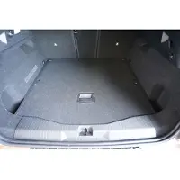 Aristar Guardliner Boot Liner