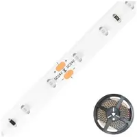 EVN Lichttechnik LED-Strip ICSB202430285525M