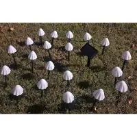 F-H-S International FHS 35697 LED Solar Lichterkette Pilze 3,8m 20 LED warmweiß Gartenstecker Lichtsensor