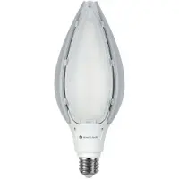 Beneito Faure 80W E27-E40 2200K LED-Glühbirne für Straßenlaternen