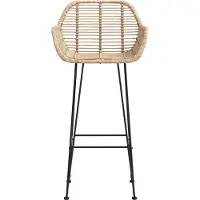vidaXL Barstuhl 2 stk. Natur 55 x 52 x 105 cm Rattan und Eisen