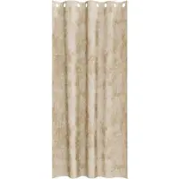 vidaXL Samtvorhänge mit Vorhängen 2 pcs Creme 245 x 140 cm Samt