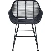vidaXL Esszimmerstuhl 2 stk. Rattan und Eisen Schwarz 55 x 50 x 74 cm