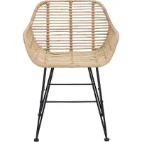 vidaXL Esszimmerstuhl 2 stk. Rattan und Eisen Natur 55 x 50 x 74 cm