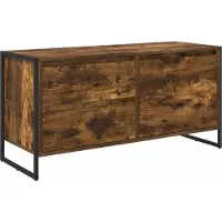 vidaXL TV-Schränk Raucharbe 100 x 36 x 49.5 cm Holzwerkstoff