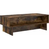 vidaXL Couchtisch Räuchereiche 100 x 46 x 35 cm Holzwerkstoff