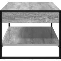 vidaXL Couchtisch Graues Sonoma 80 x 50 x 40 cm Holzwerkstoff