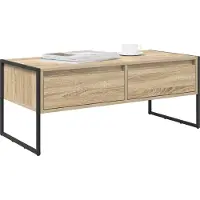 vidaXL Couchtisch Sonoma 100 x 46 x 40 cm Holzwerkstoff