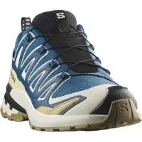 Salomon Herren Trailrunningschuhe SHOES XA PRO 3D V9 GTX Dark B/Icicle/Alo