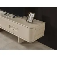 Xl Moebel Gmbh rtv Wohnwand tv Wand Schrank Vitrine Regal Wohnzimmer Fernseher Wohnwände
