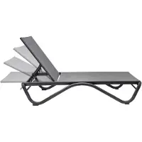 4IQ Gartenliege SOLARIA in Grau, Premium Sonnenliege mit Verstellbarer Rückenlehne, Outdoor Liegestuhl für Garten, Terrasse & Balkon 192x64x33 cm