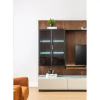 Xl Moebel Gmbh Luxus Wohnwand Schrank Regal Wohnzimmer Vitrine Wohnwände Holz Design