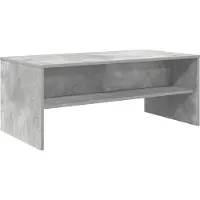 vidaXL Couchtisch Betongrau 100 x 50 x 40 cm Holzwerkstoff