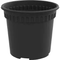 vidaXL Alan