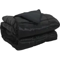 vidaXL Ganzjahresbettdecke 200 x 200 cm 300 g/m² Schwarz