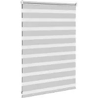vidaXL Doppelrollo Hellgrau 110x100 cm Stoffbreite 105,9 cm Polyester