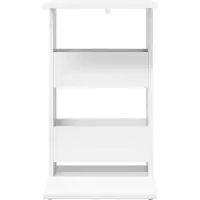 vidaXL Olwonin