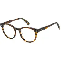Polaroid Unisex PLD D519 086 Rahmen von BRILLEN Biokrise Havanna Pantos